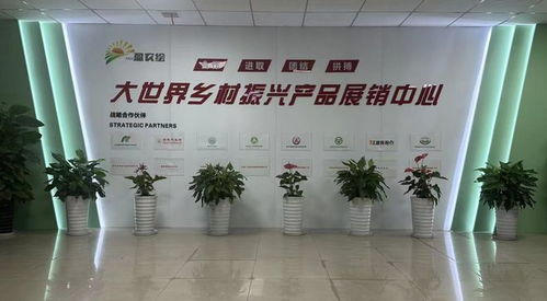 面對(duì)面問(wèn)需于企 心貼心排憂解難 技術(shù)咨詢?yōu)槠髽I(yè)發(fā)展注入新動(dòng)力