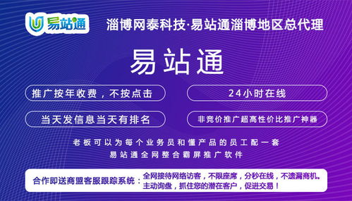 惠民網絡推廣效果好服務介紹——淄博網泰科技，以專業經驗與技術開發助力企業騰飛